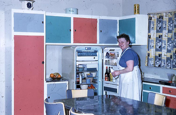 The kitchen with the fashionable cupboard colours and our first frig.